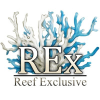 Reef Exclusive