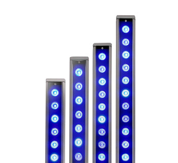 Blue Plus OR3-90 LED Light Bar 36"