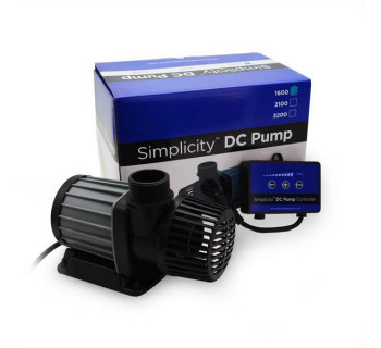 Simplicity 2100 DC Pump