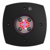 AI Hydra Prime 16 HD Fuge LED Module - Black Body