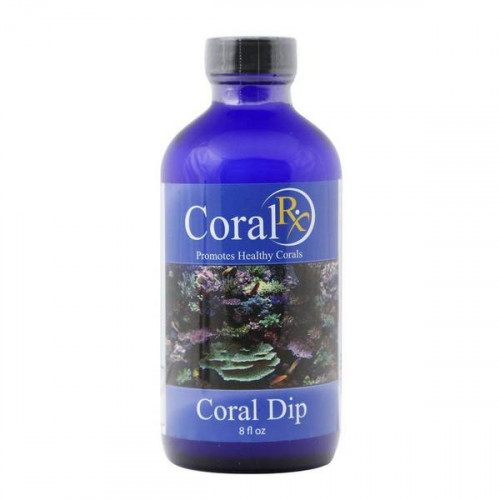 Coral RX Coral Dip - 8 oz