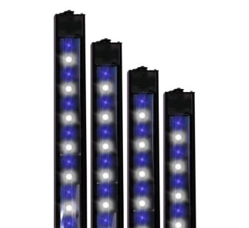 Reef Brite 24" 50-50 Blue & White XHO LED Strip Light - Black - 24W
