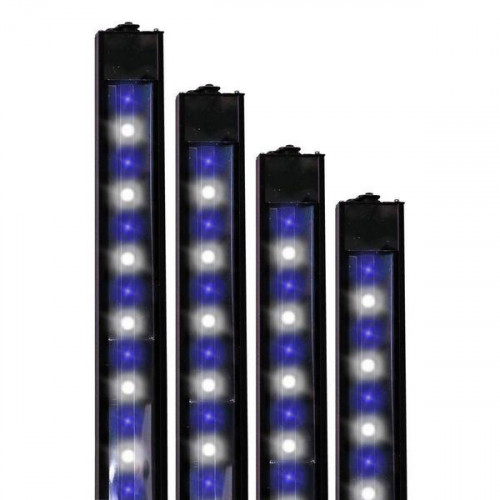 Reef Brite 24" 50-50 Blue & White XHO LED Strip Light - Black - 24W